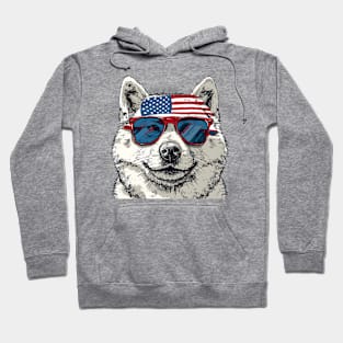 American 4th July Dog #3 Hoodie